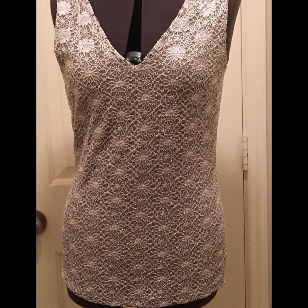 Silver/Gray Lacr V-Neck Tunic